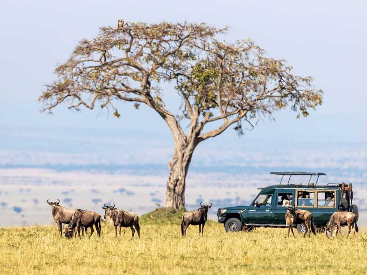 Africa Adventure Safari Tour