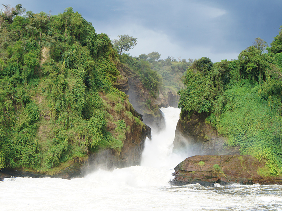 Uganda Gorilla & Wildlife Safari