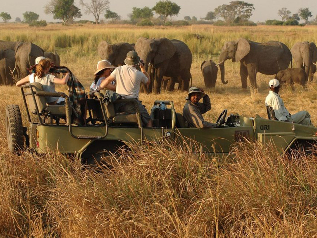 Africa Adventure Safari Tour