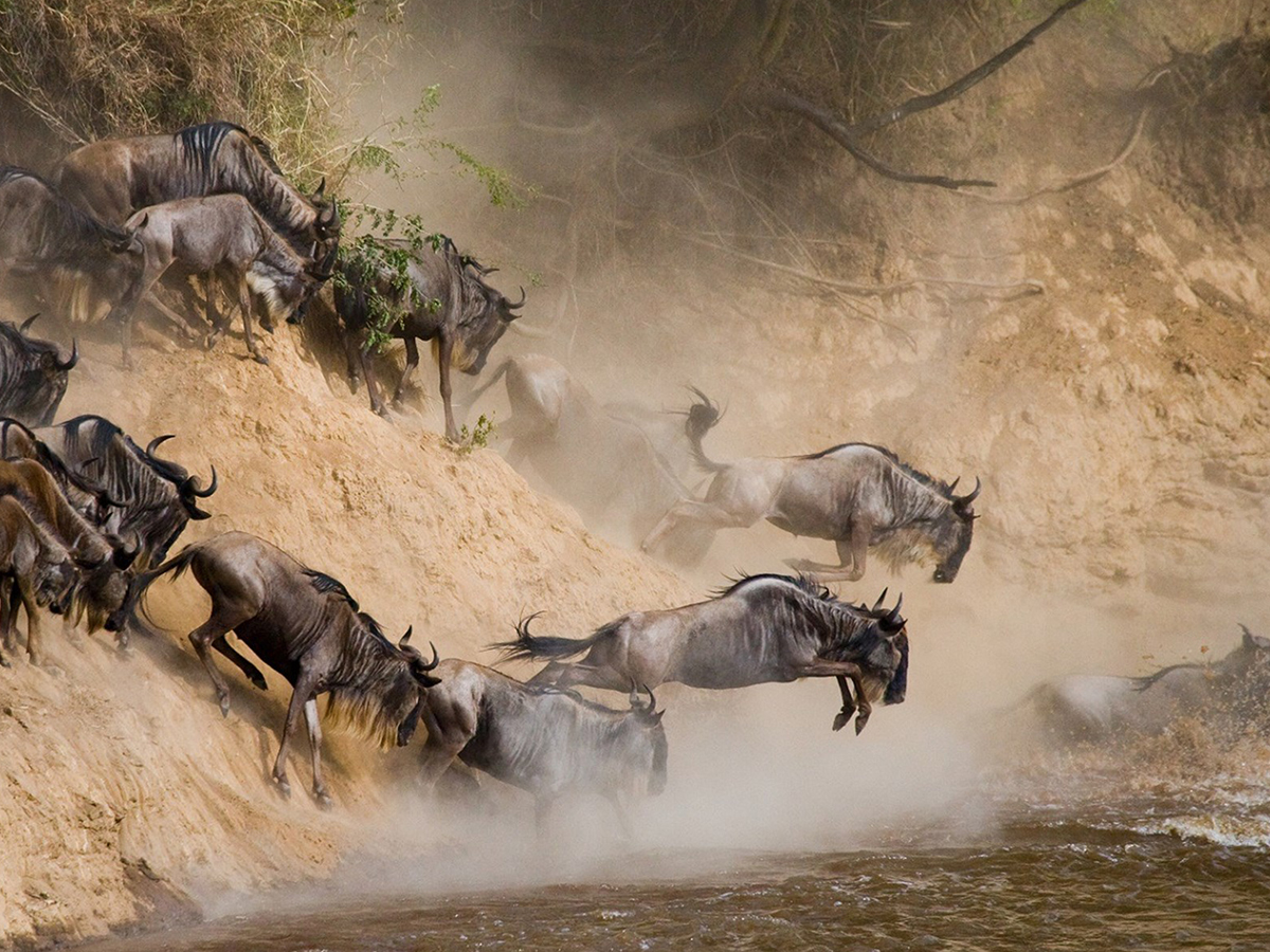 25 Days Rwanda, Uganda, Kenya and Tanzania Safari Experience