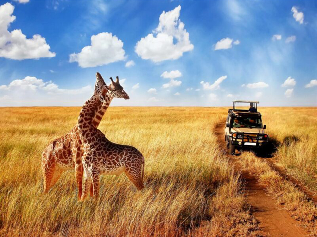 Africa Adventure Safari Tour