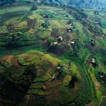 pack for a Safari in Uganda