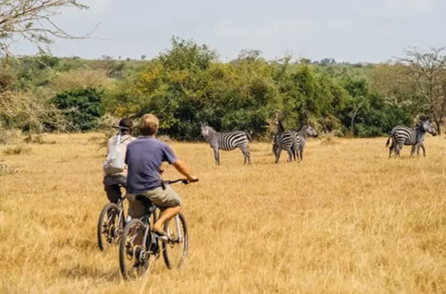 cycling