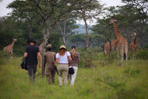 lake mburo np