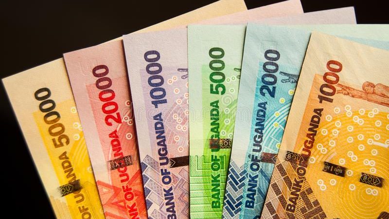 Safari Essentials in East Africa