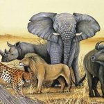 Uganda's Big five animals