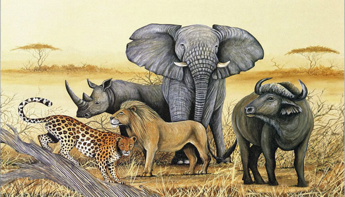 Uganda's Big five animals