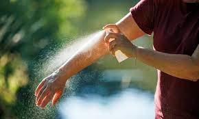 Safari Essentials in East Africa