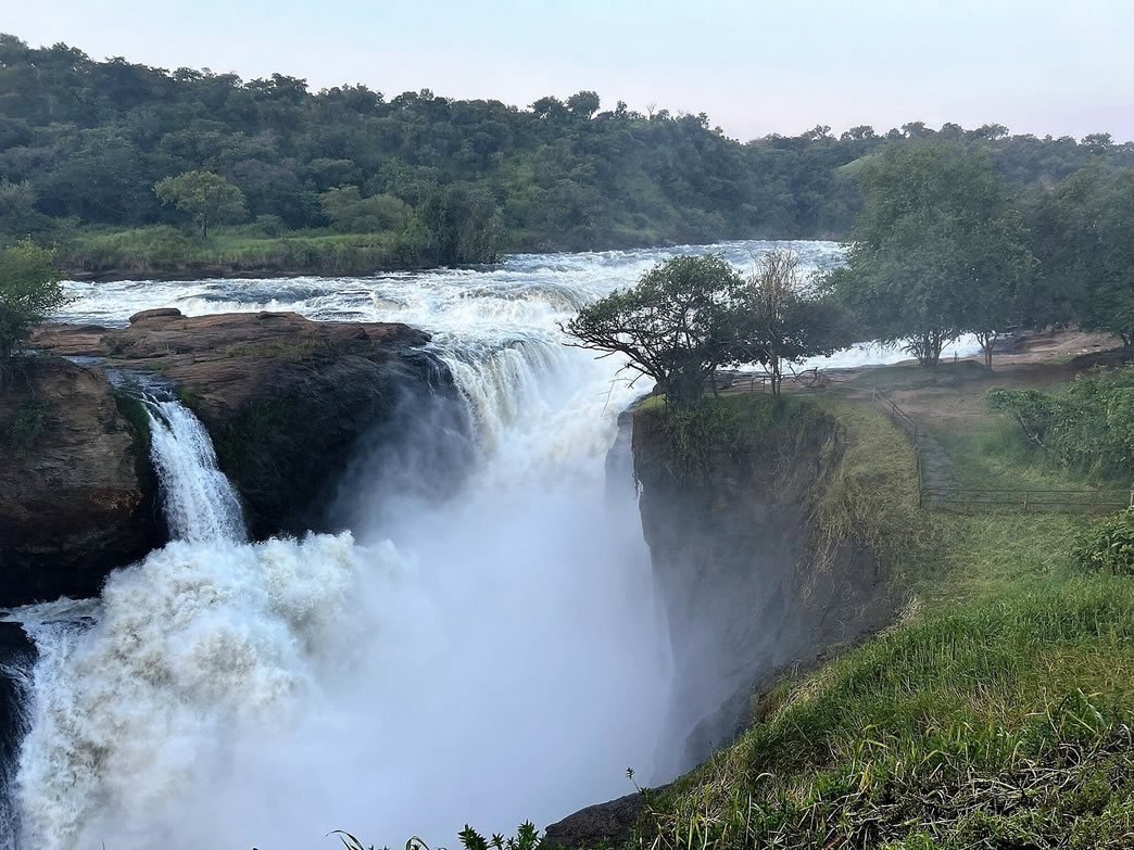 5 Best National Parks in Uganda