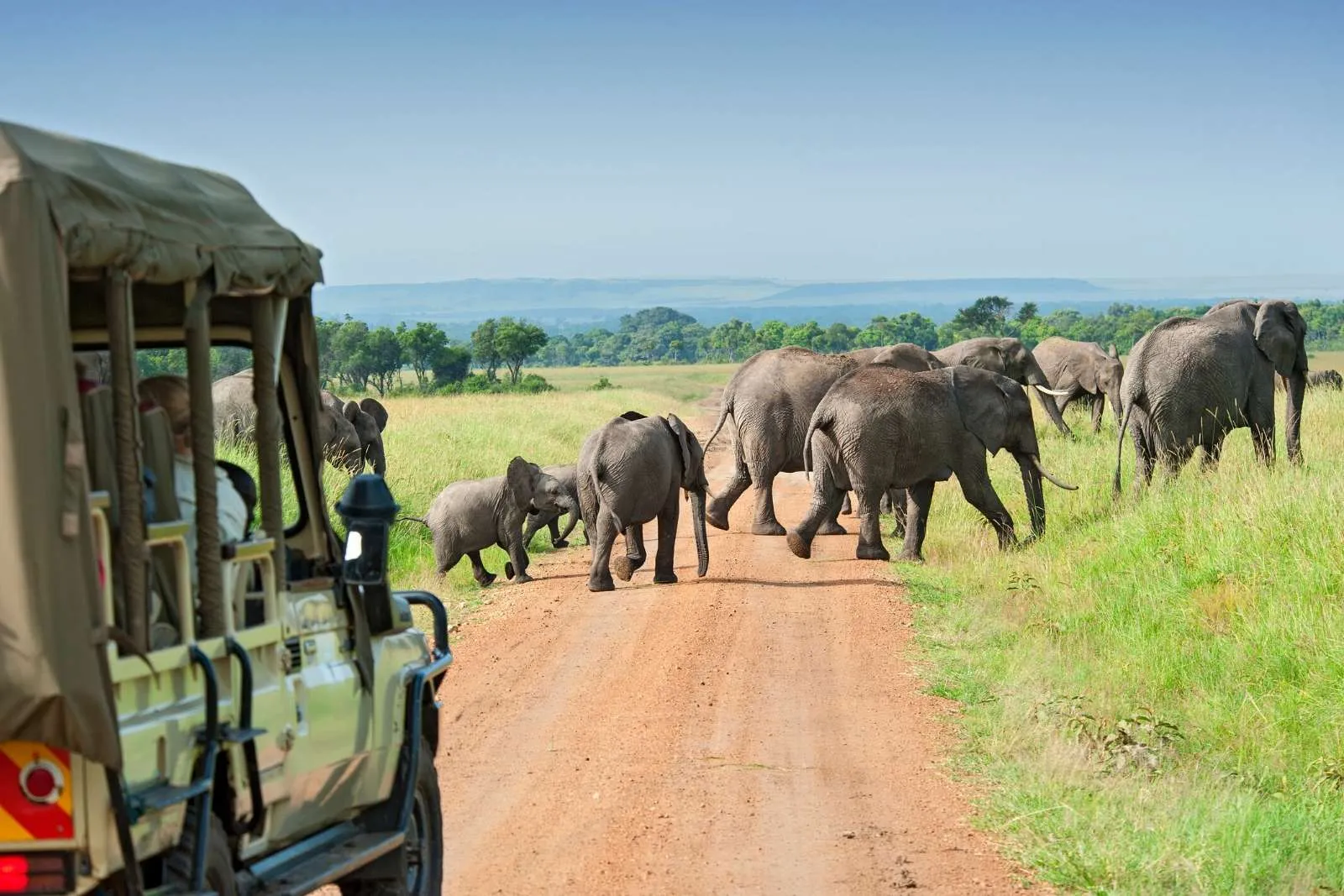 Must do on a Uganda Safari