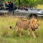 Best things to do at Akagera National Park- Rwanda safaris