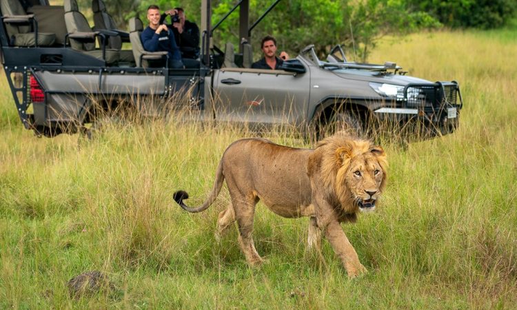 Best things to do at Akagera National Park- Rwanda safaris