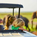 Best destinations for family tours in Uganda- Uganda safaris