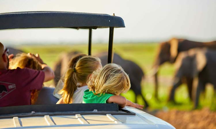 Best destinations for family tours in Uganda- Uganda safaris