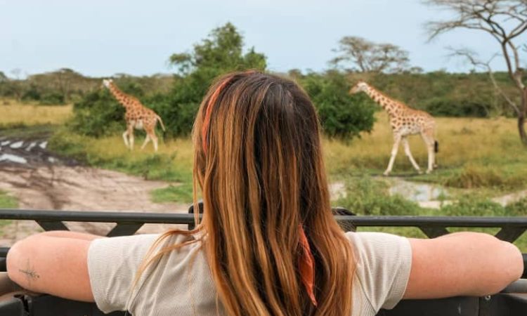 What to see on a game drive at Lake Mburo National Park