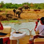 The boat cruise experience at Queen Elizabeth National Park