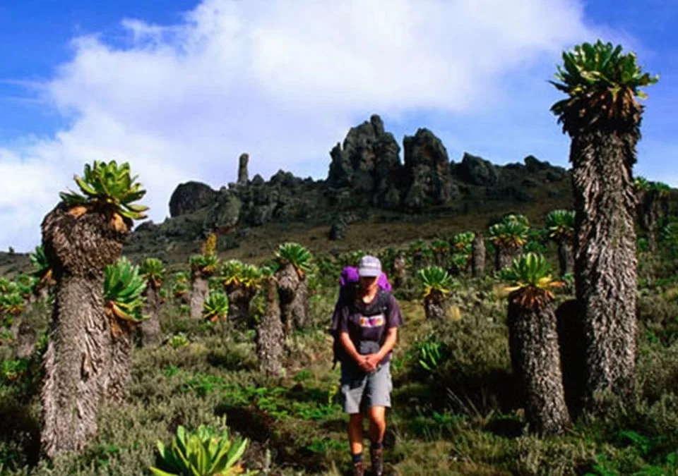 Top attractions at Mountain Elgon National Park