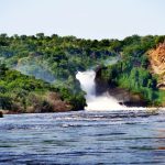 Murchison falls Vs Queen Elizabeth National Park- Uganda safaris