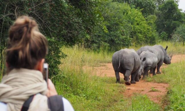 What to do at Zziwa Rhino sancturay besides rhino tracking