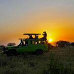 How safe is Uganda for safaris?