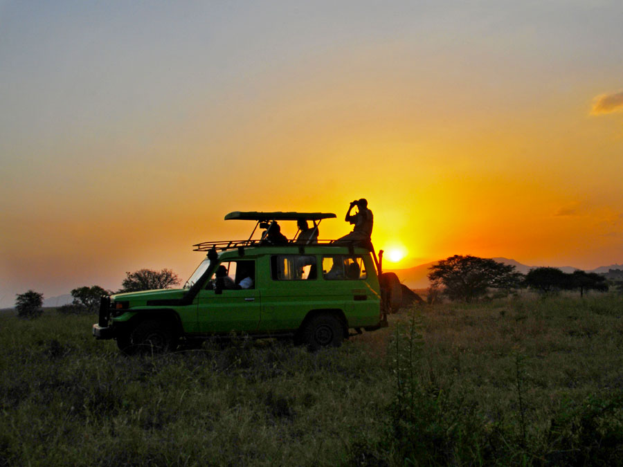 How safe is Uganda for safaris?