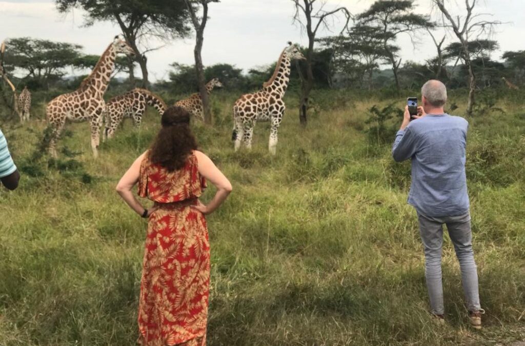 Where to see giraffes in Uganda