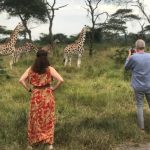 Where to see giraffes in Uganda