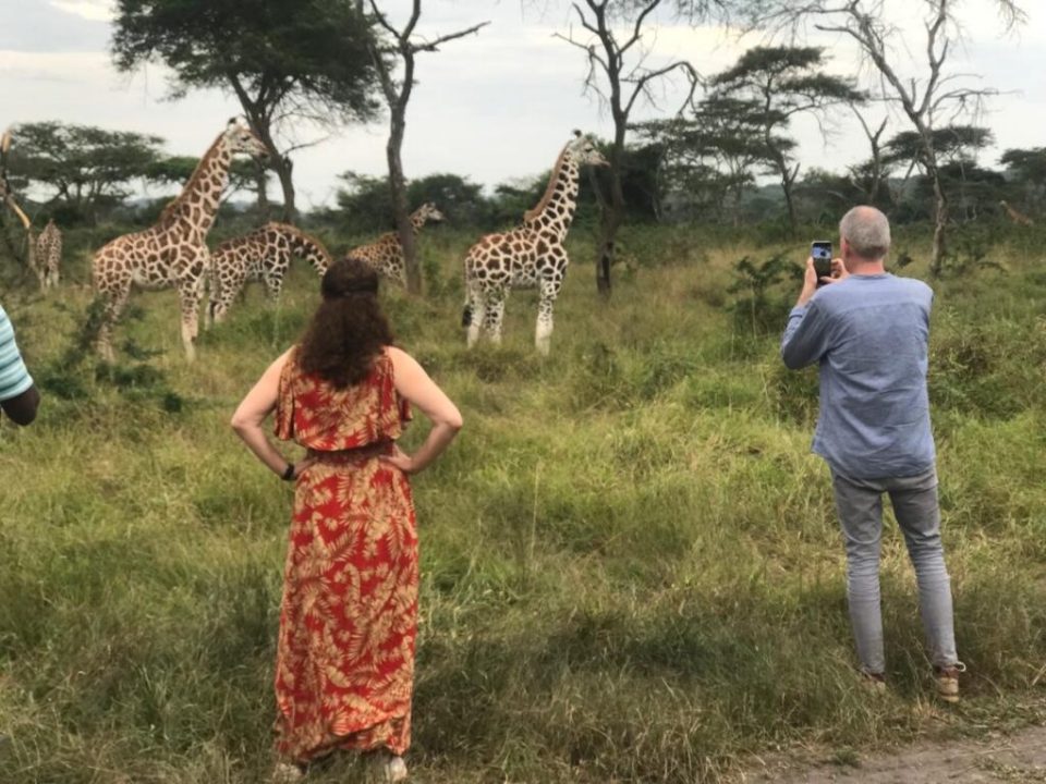 Where to see giraffes in Uganda