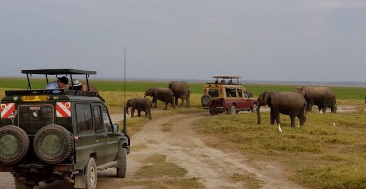 Things to do in Aberdare National Park- Kenya adventure safaris