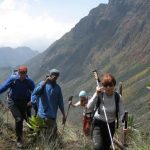 Best destinations for hiking safaris in Uganda