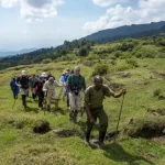 Top things to do at Gishwati-Mukura National Park- Rwanda safaris