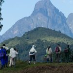 Other adventures to do at volcanoes besides gorilla trekking