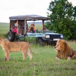 Best places for photography safaris in Kenya