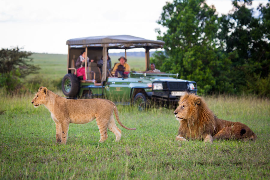 Best places for photography safaris in Kenya