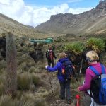 Top things to do at Mountain Kenya National Park