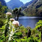 Top attractions at Mountain Rwenzori National Park