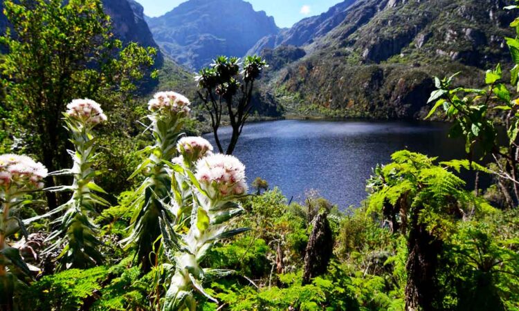 Top attractions at Mountain Rwenzori National Park