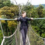 What to see on the canopy walk at Nyungwe forest National Park