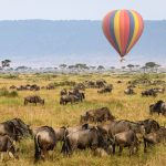 Top destinations for hot air balloon safaris in Kenya