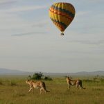 Where to go for hot air balloon adventures in Rwanda