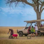 How safe is Kenya for safaris?