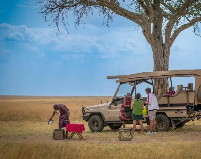 How safe is Kenya for safaris?