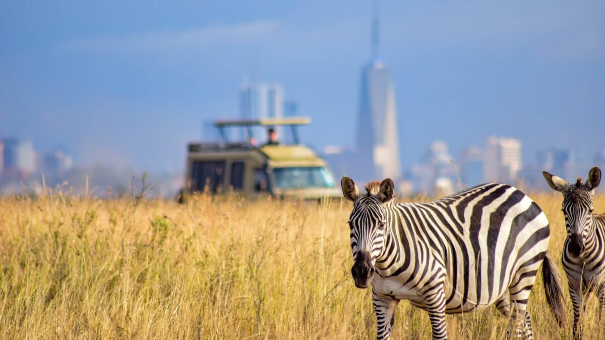 Top attractions at Nairobi National Park- Kenya safaris