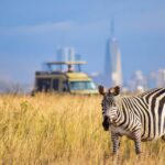 Top attractions at Nairobi National Park- Kenya safaris