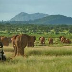 Top things to do in Samburu National Reserve- Kenya safaris