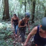 Things to do at Mabira forest reserve- Uganda adventure safaris