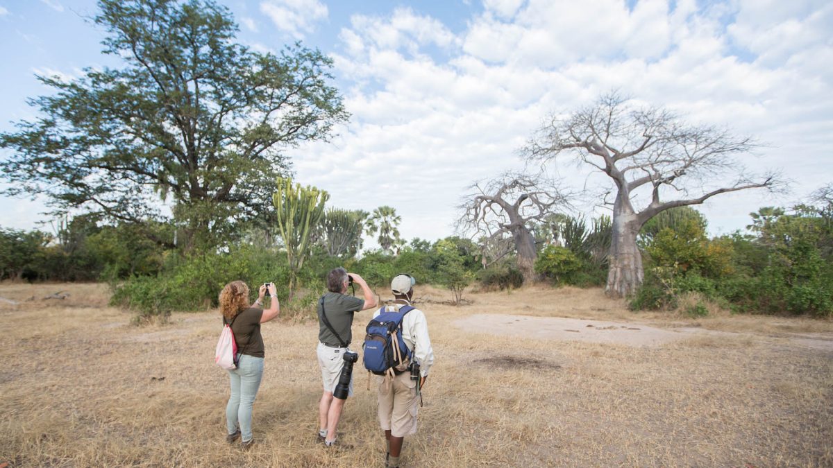 Top adventures to do at Tsavo National Park