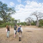 Top adventures to do at Tsavo National Park