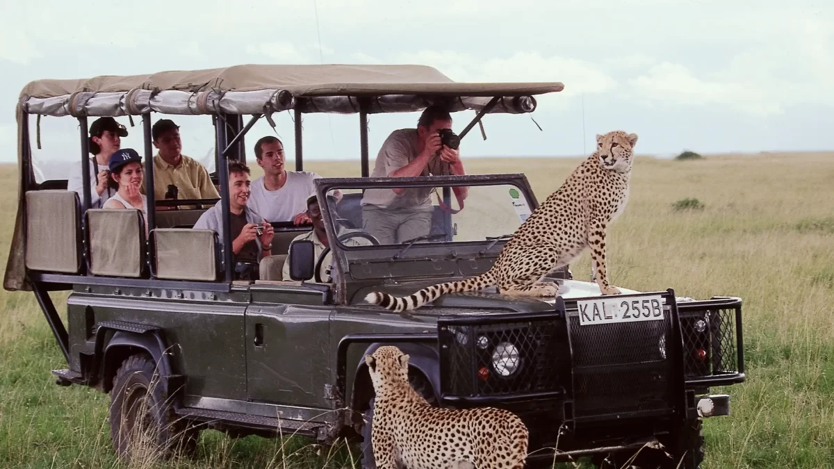 Top spots for group tours in Kenya