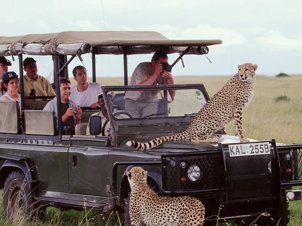 Top spots for group tours in Kenya